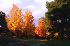 photo 0156